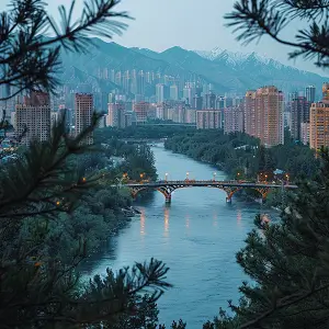 眼睛表情当的含义