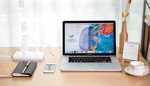 stray动画片解读