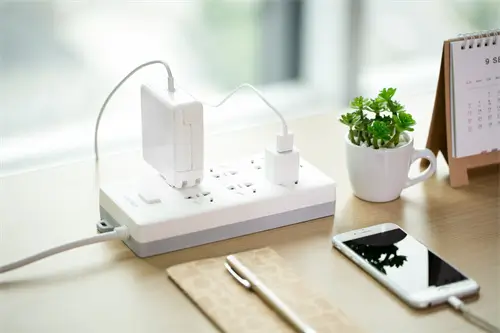 刺猬的寓意和含义